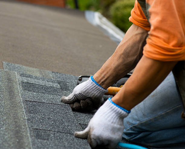 Best Slate Roofing Contractor  in West Glendive, MT