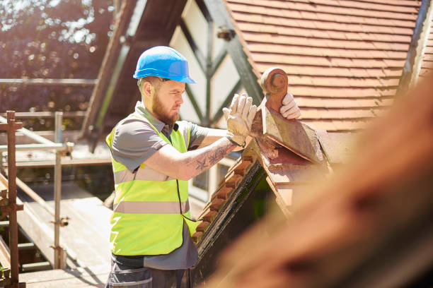 Best Roof Leak Repair  in West Glendive, MT
