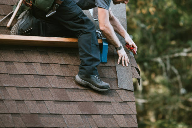 Best Roof Maintenance Services  in West Glendive, MT